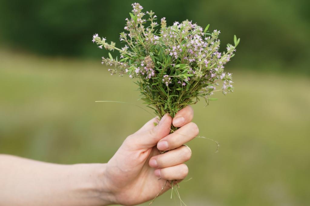 タイムが教えてくれる「勇気と愛」